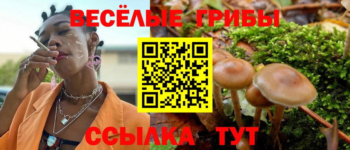 Псилоцибиновые грибы Cubensis Учалы